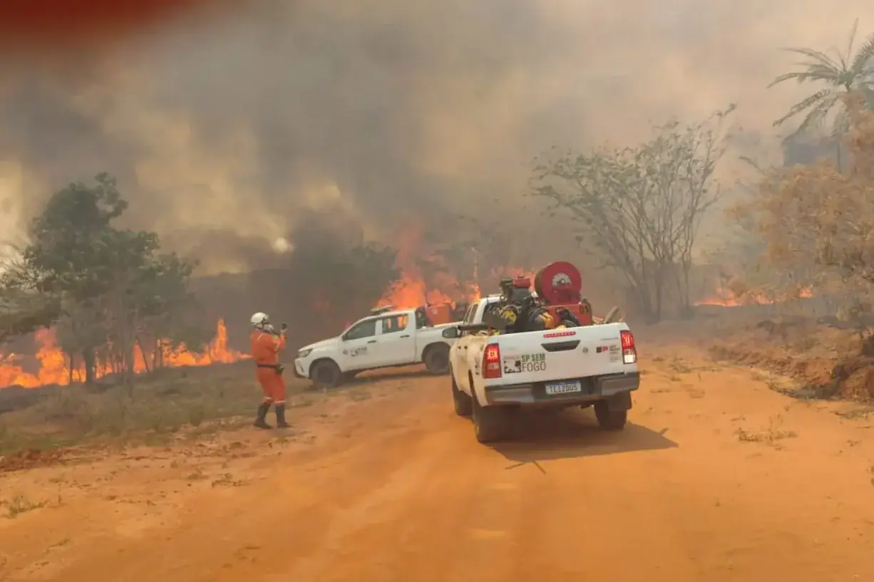 Incêndio atinge Floresta Estadual em Rio Preto