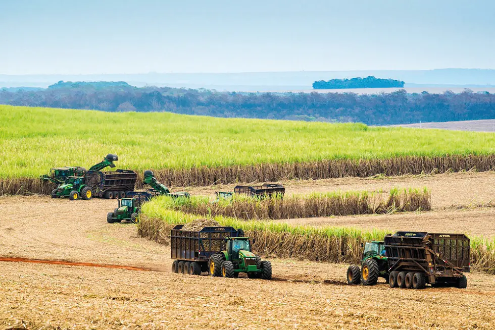 Em uma década, safra de cana de 2025 é uma das menores, segundo a Unica (Divulgação)
