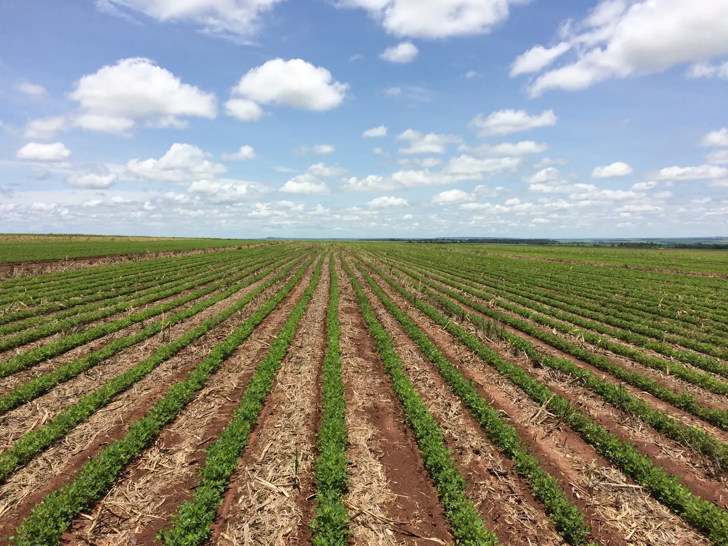 Thumbnail description