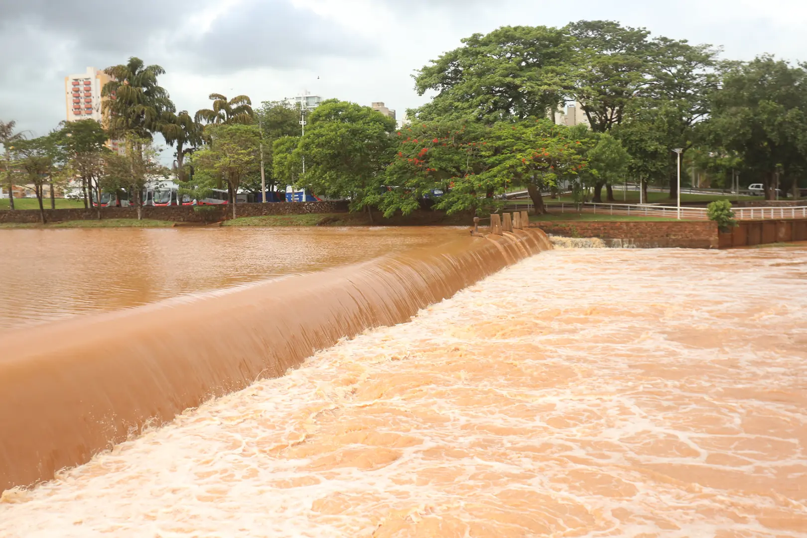 Thumbnail description