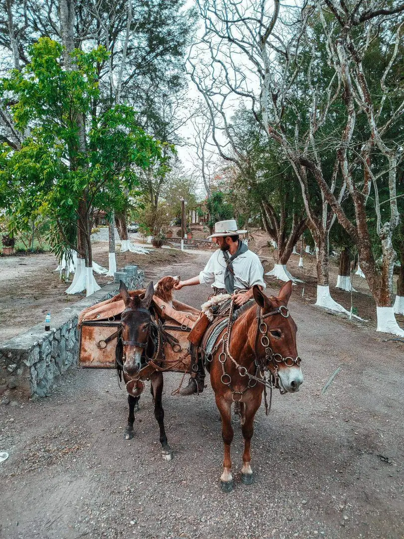 Thumbnail description