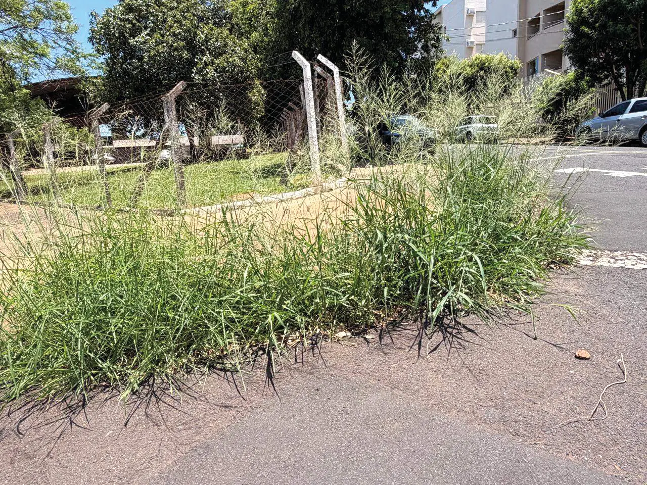 Thumbnail description