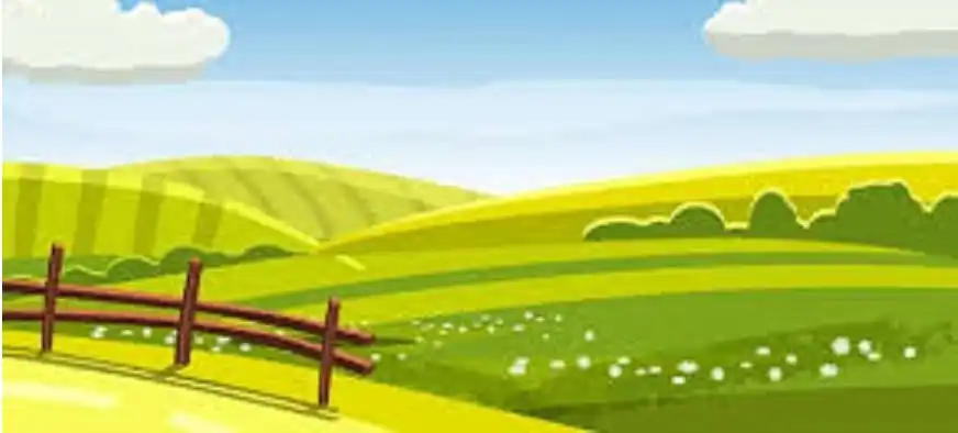 AgroNotícias, por Maurício Picazo Galhardo (AgroNotícias, por Maurício Picazo Galhardo)