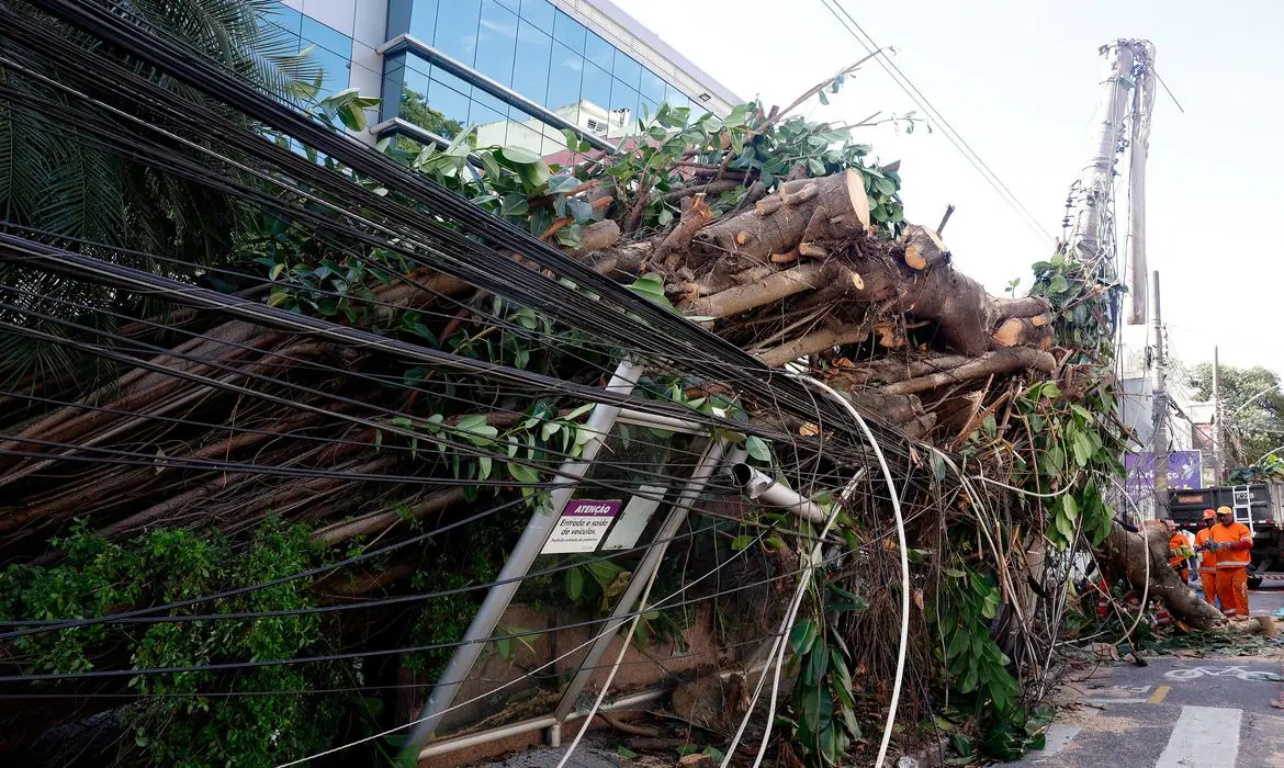 Queda de árvores no Rio de Janeiro ampliou os transtornos para os moradores (Agência Brasil)