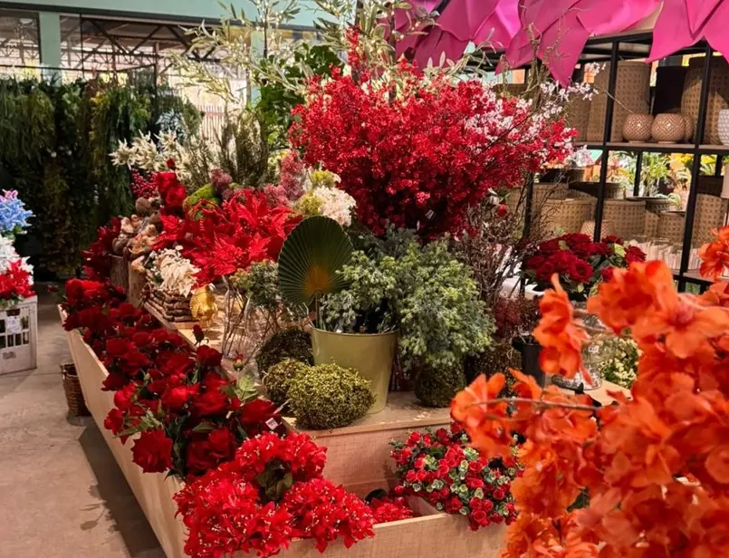 Ceagesp em Flor acontece até o dia 11 de outubro em Rio Preto (Divulgação)
