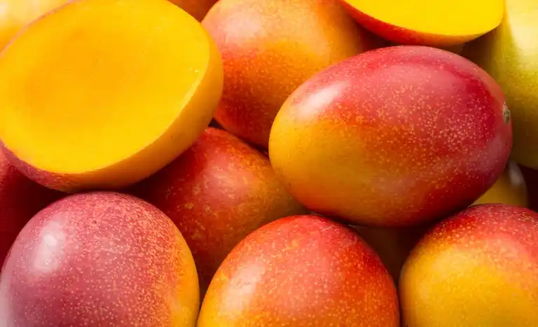 Uma das frutas mais exportadas, a manga tem impacto de tarifa dos EUA (Divulgação)