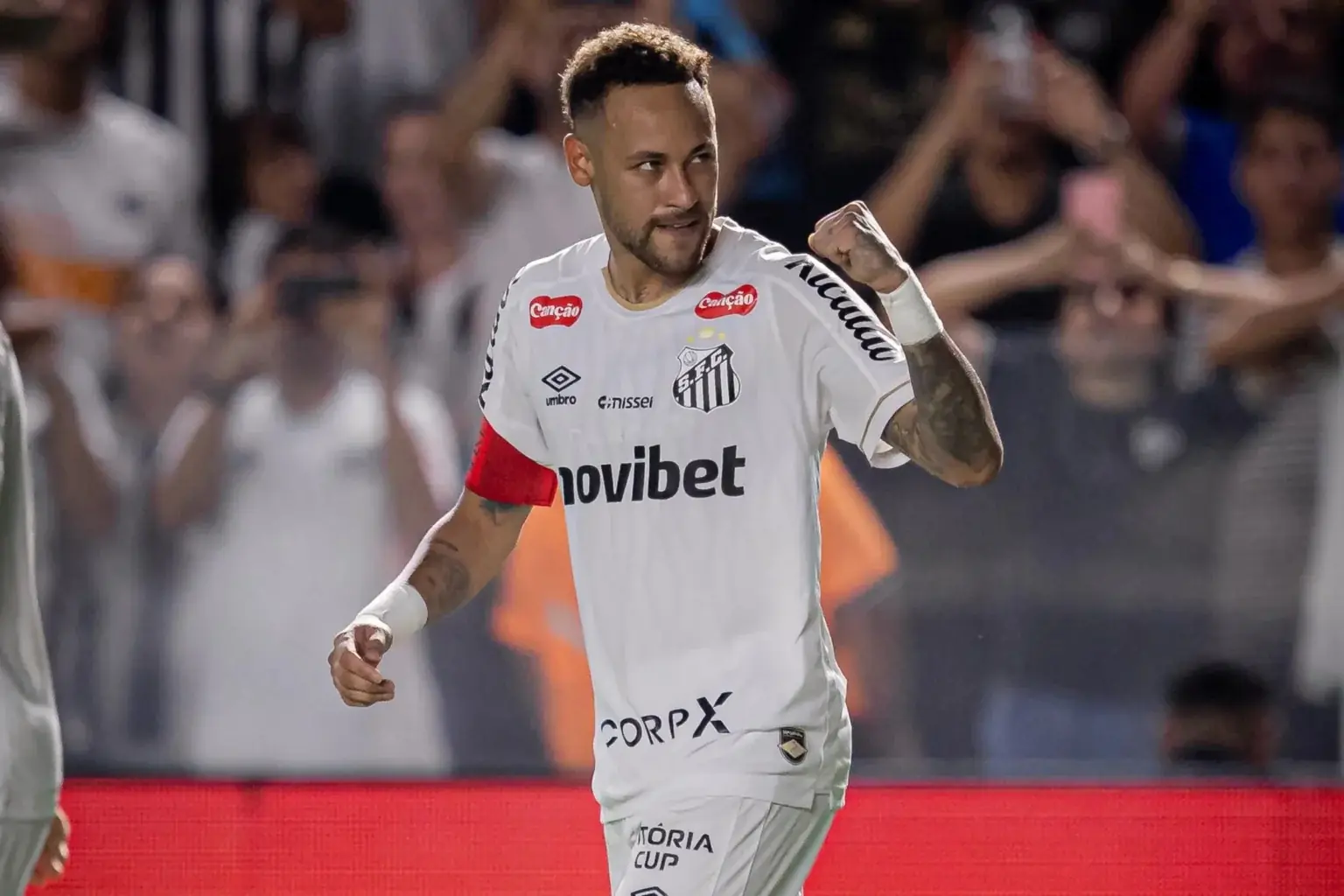 Raul Baretta/ Santos FC