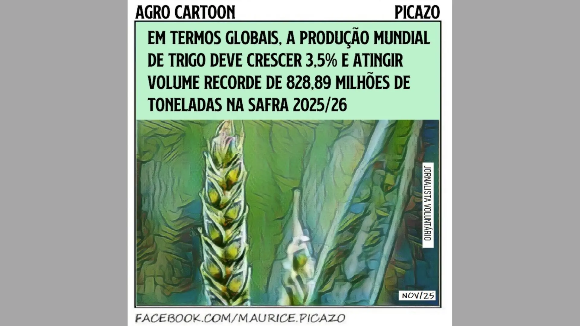 Conjunção de fatores enfraquece preço do trigo