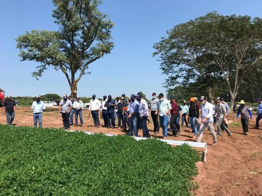 Produtores em evento da Apta, de Pindorama, no ano passado (Divulgação)
