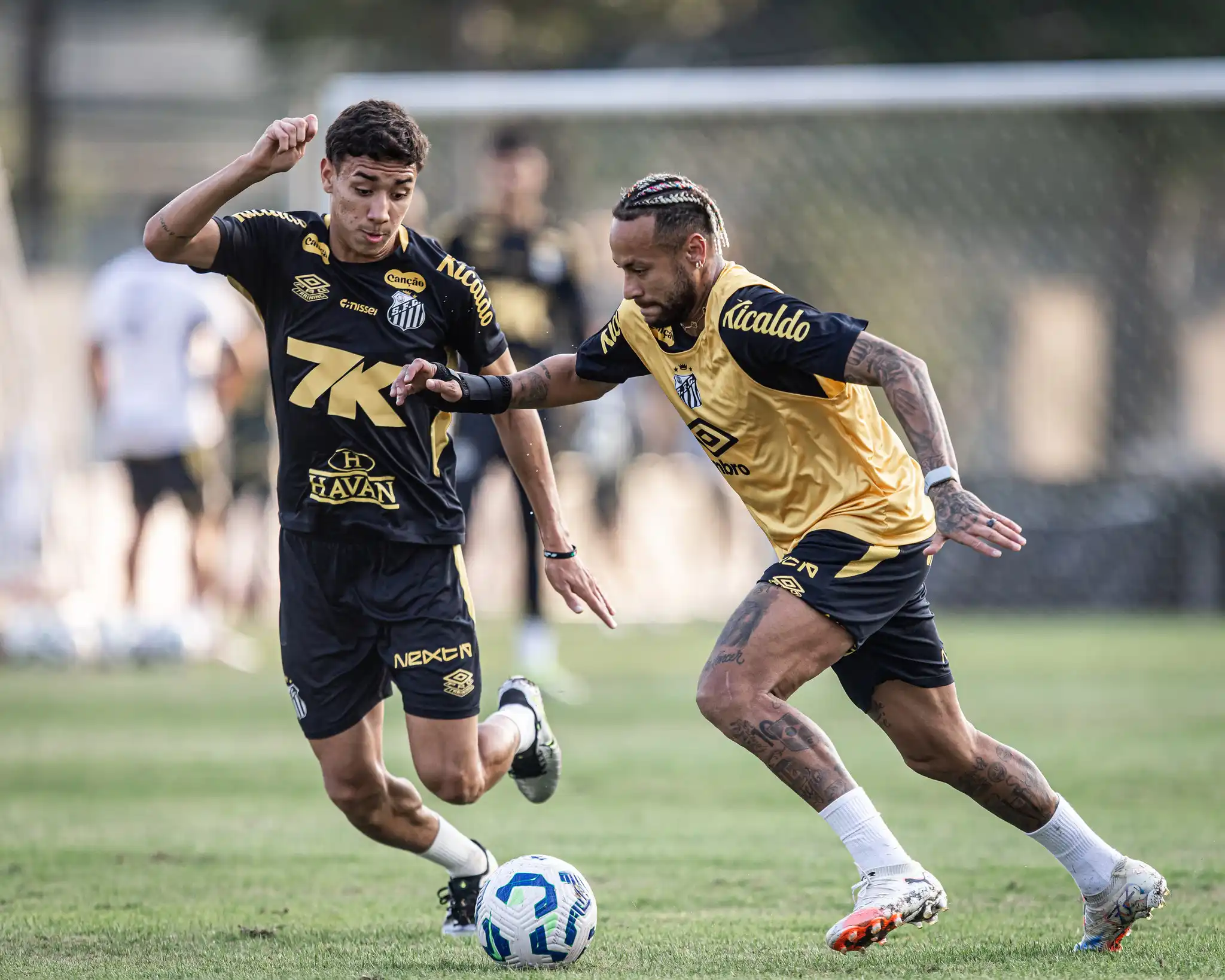 Treino do Santos no CT Rei Pelé (Raul Baretta/ Santos FC)