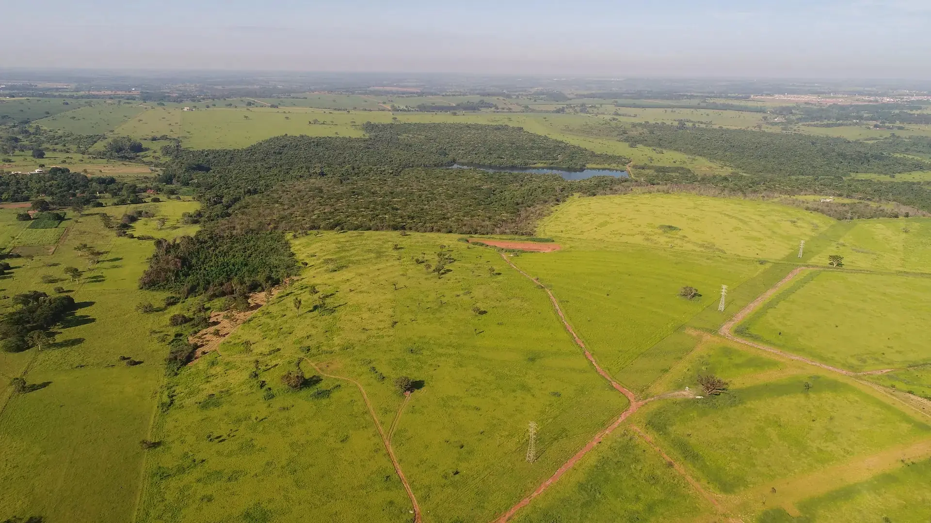 Thumbnail description