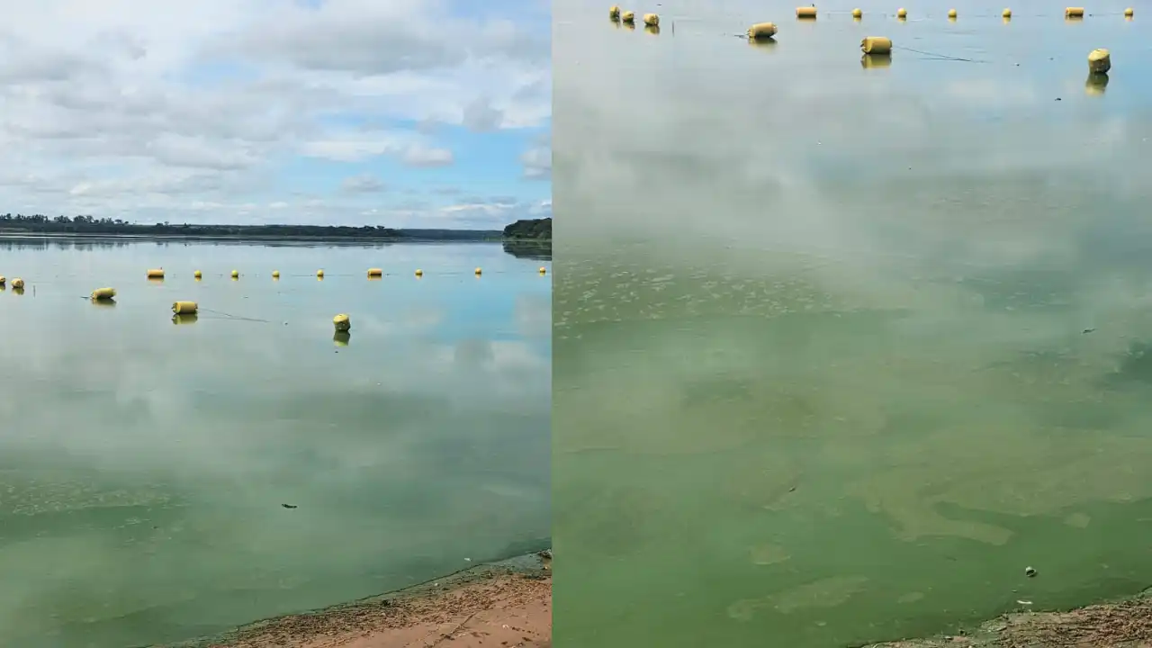 Na foto, o rio verde na 'Prainha de Ubarana', que atualmente segue impropria para banho (Divulgação)