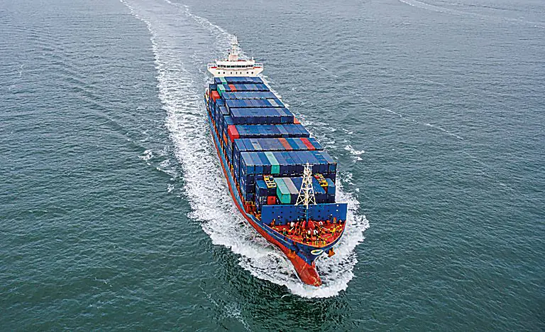 Exportação de frango bate 500 mil toneladas em setembro