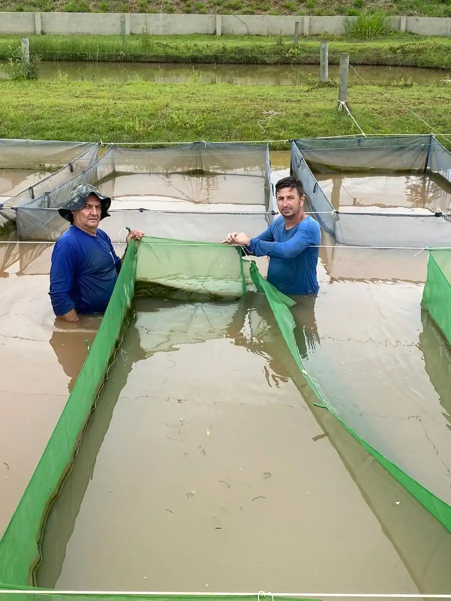 Antonio Fernando Leonardo (à direita) coordena as pesquisas com tilápias no Instituto da Pesca em Rio Preto (Divulgação)