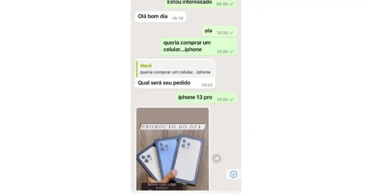 Trechos de conversa da reportagem com a suposta vendedora (Reprodução)