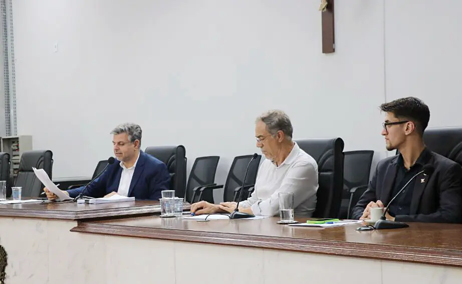 Integrantes da comissão em reunião nesta segunda-feira (Divulgação/Câmara Rio Preto)