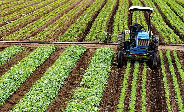 No Plano Safra, crédito rural empresarial atinge R$ 404 bilhões (Divulgação)