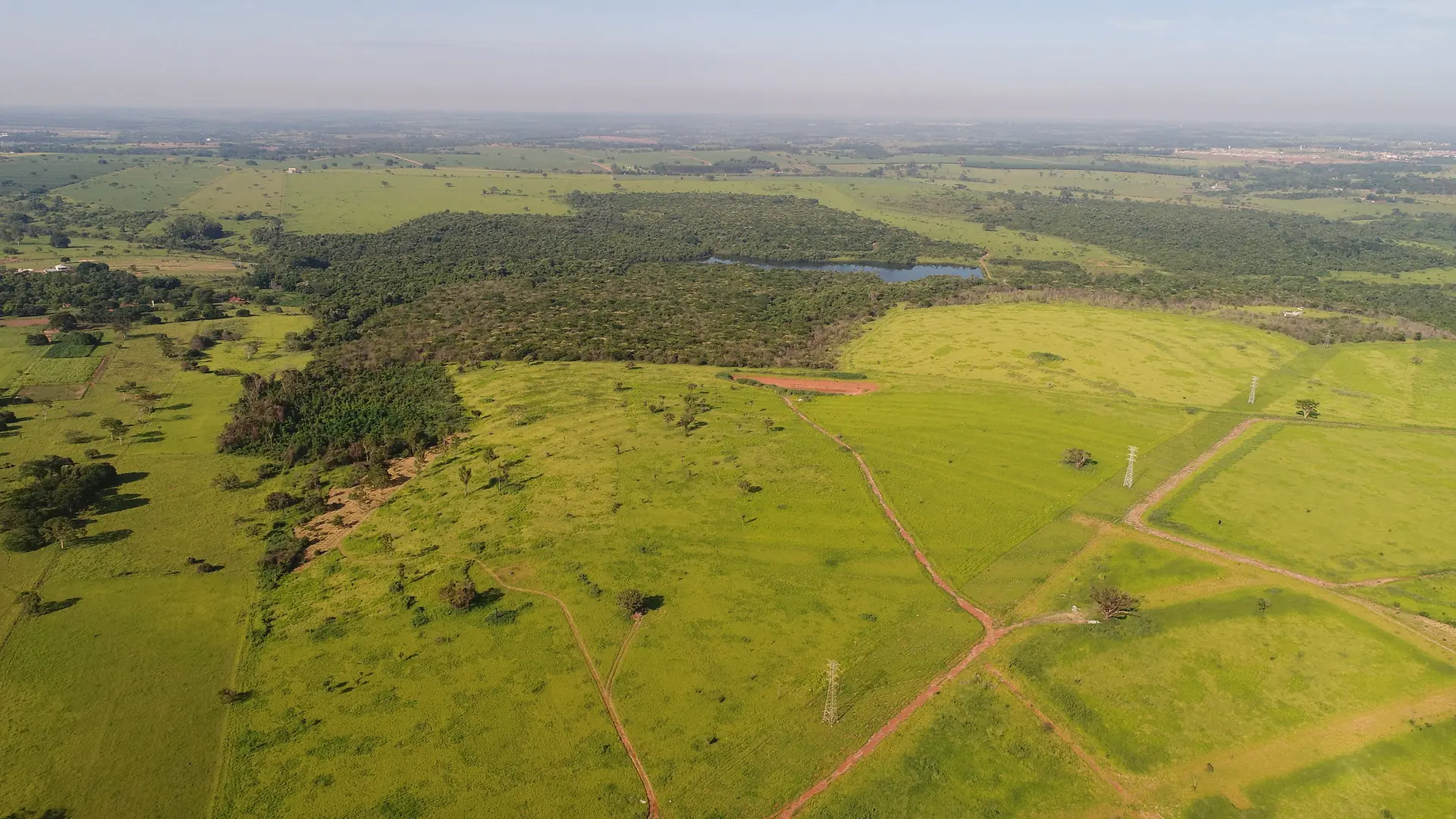 Ambientalistas se unem contra exploração de reserva ecológica