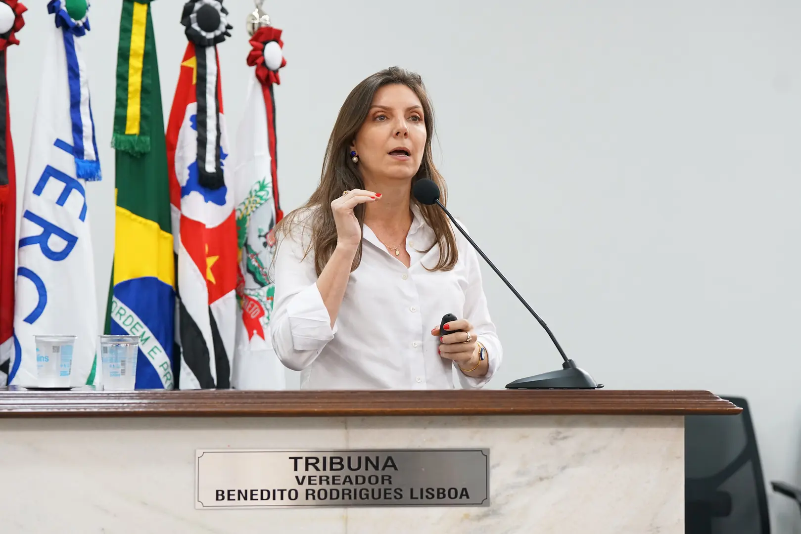 Thumbnail description