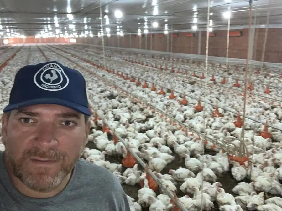 Renato Gaspar Martins: custo da produção ainda não favorece a rentabilidade (Divulgação)