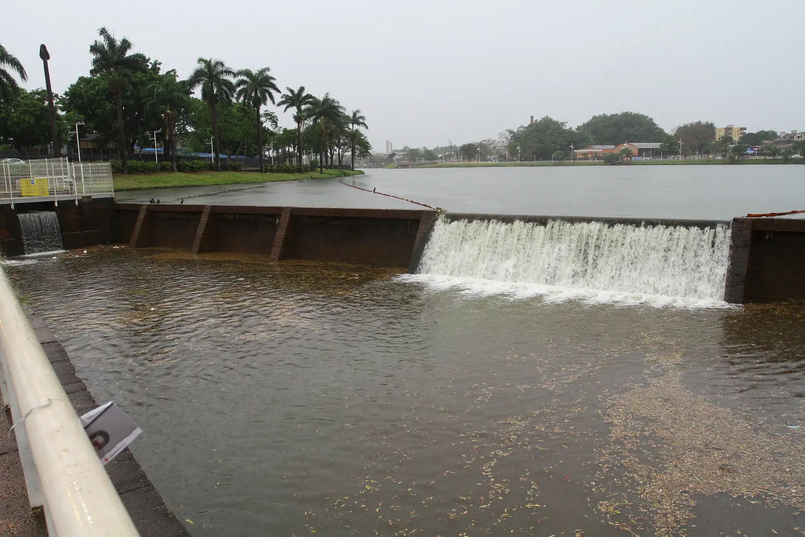 Thumbnail description