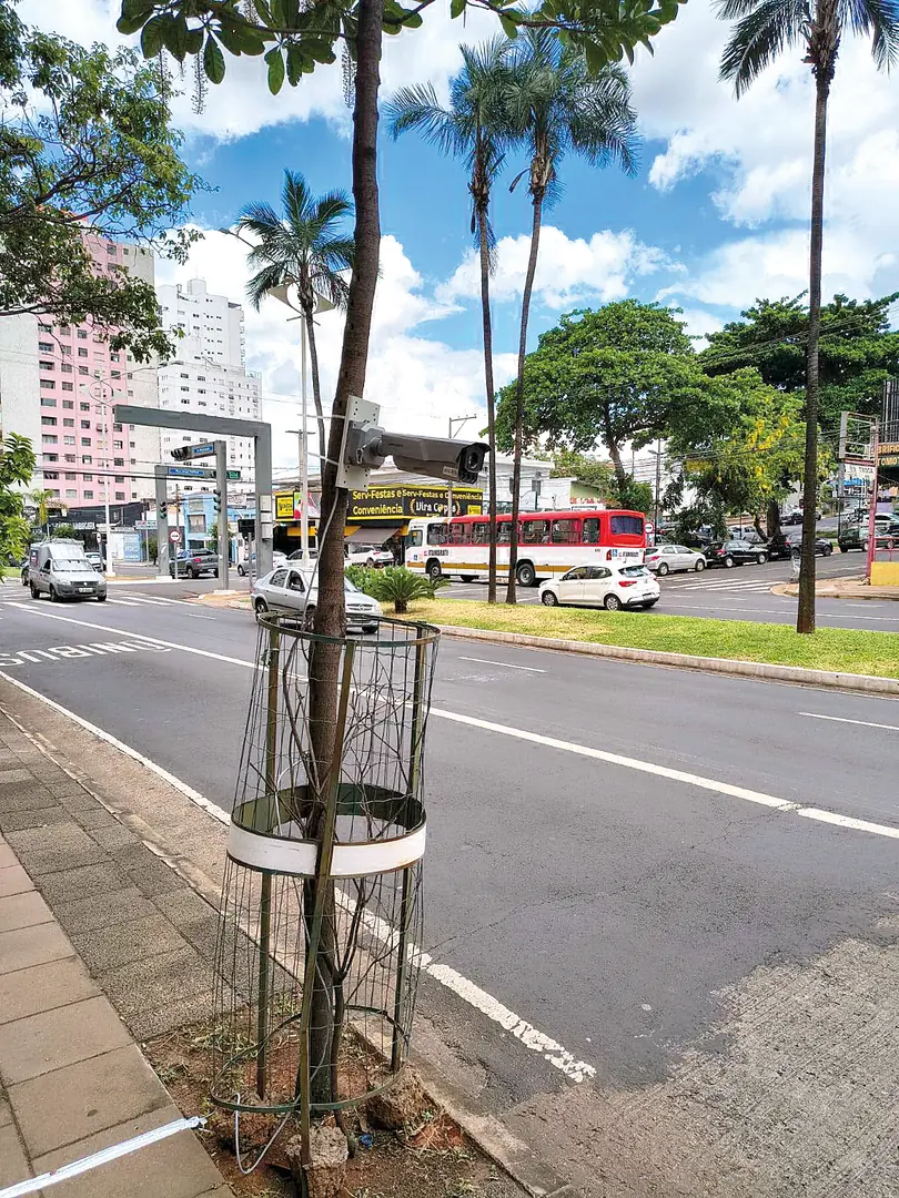 Thumbnail description