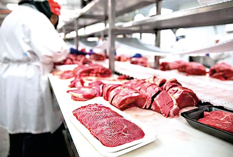 Frigoríficos brasileiros planejam férias coletivas diante de cota da China (Divulgação)