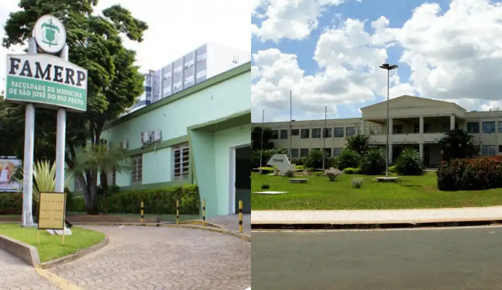 Famerp e Ibilce possuem, juntas, 42 cientistas de Rio Preto que estão entre os melhores da América Latina (Divulgação)