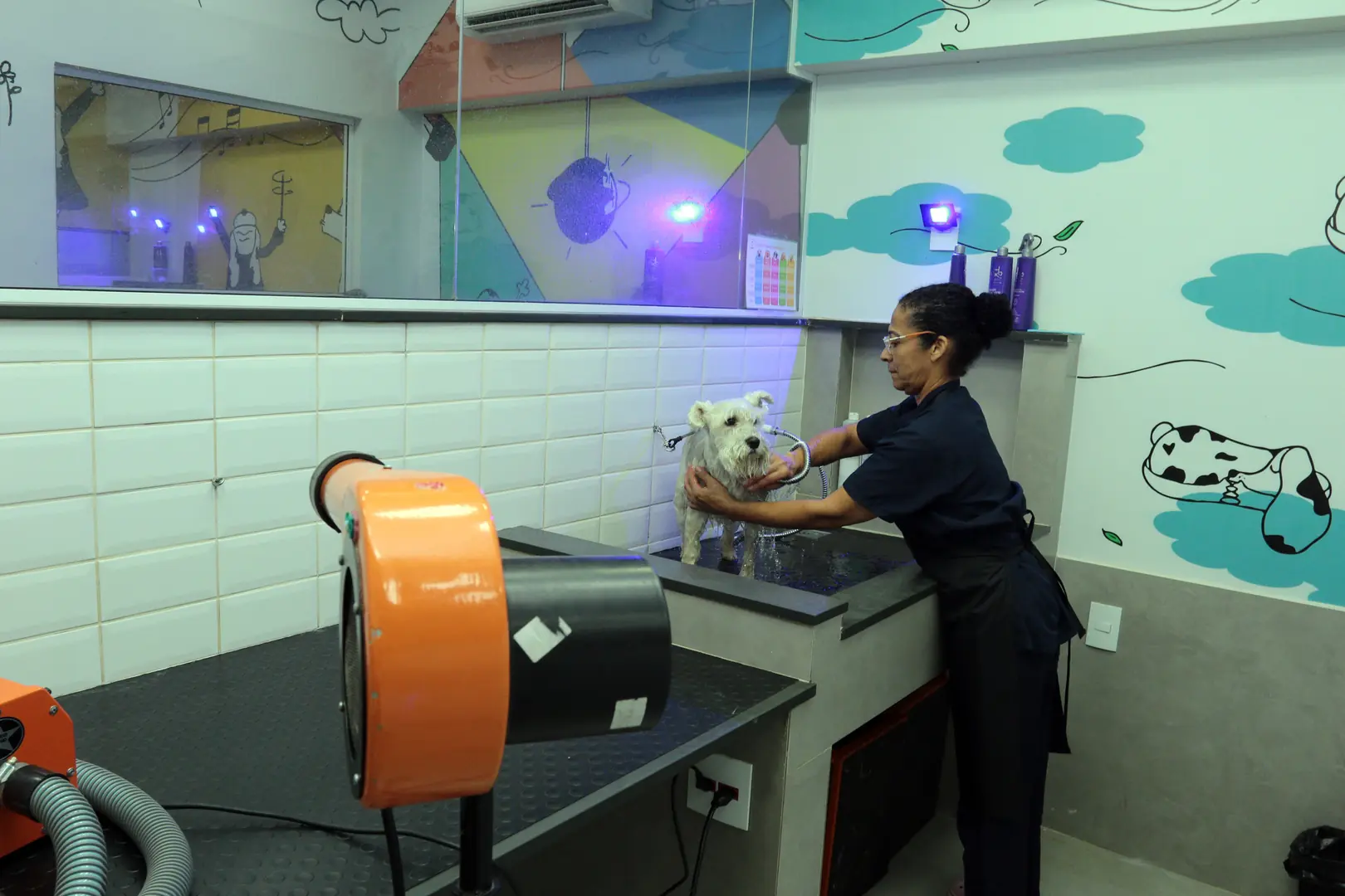 Além da estética, o conceito do Clube04 prioriza o bem-estar animal e busca transformar o banho em uma experiência positiva para os cães (Edvaldo Santos)