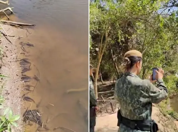 Cetesb investiga mortandade de peixes em Meridiano