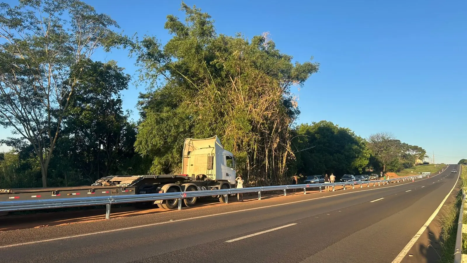 Thumbnail description