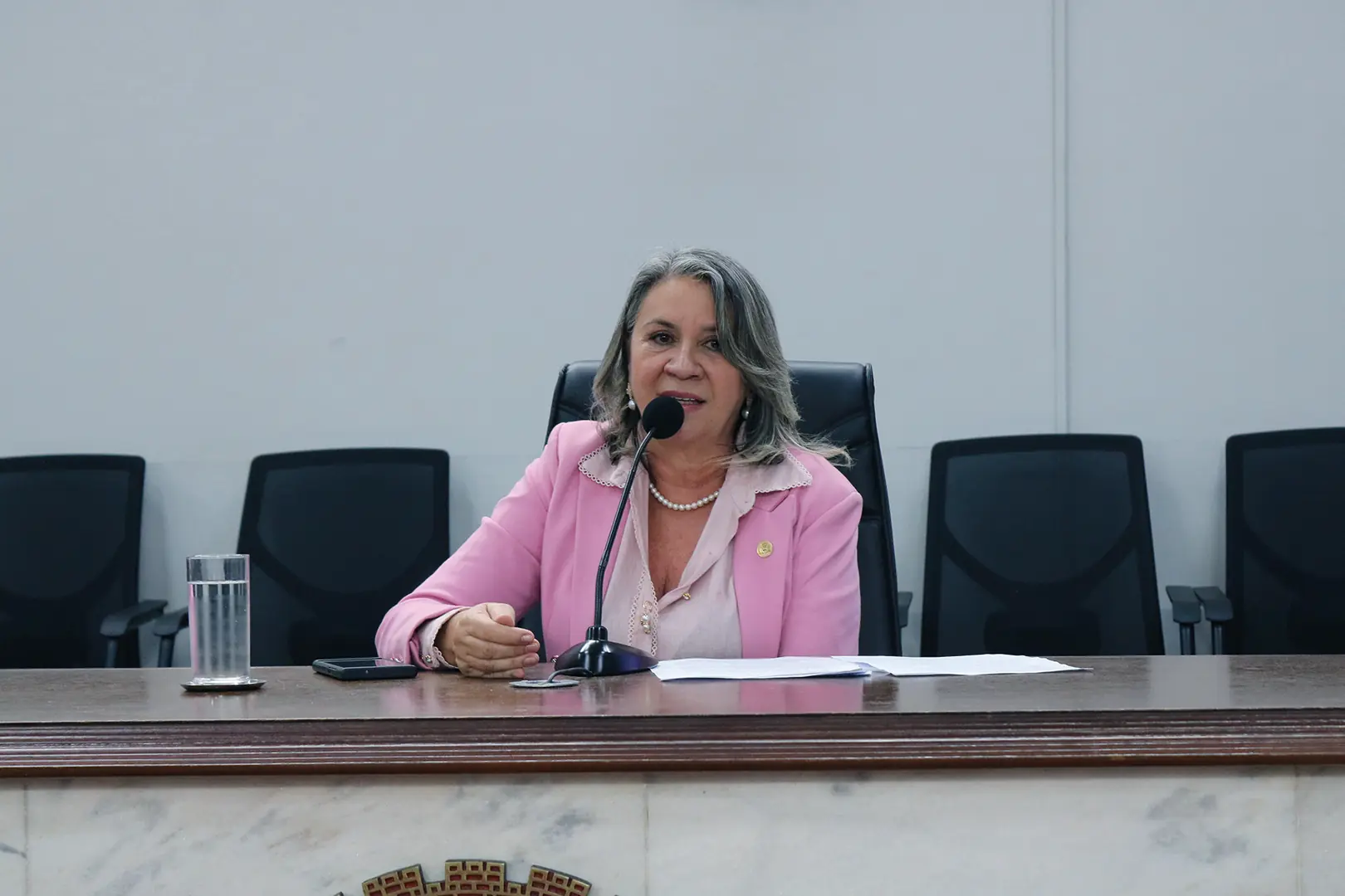 Márcia opta pela ‘versão’ sindicalista (Divulgação/Câmara de Rio Preto)