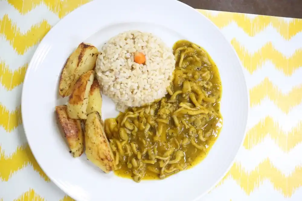 Estrogonofe de shimeji vegano servido no restaurante Grindélia (Guilherme Baffi 22/1/2019)