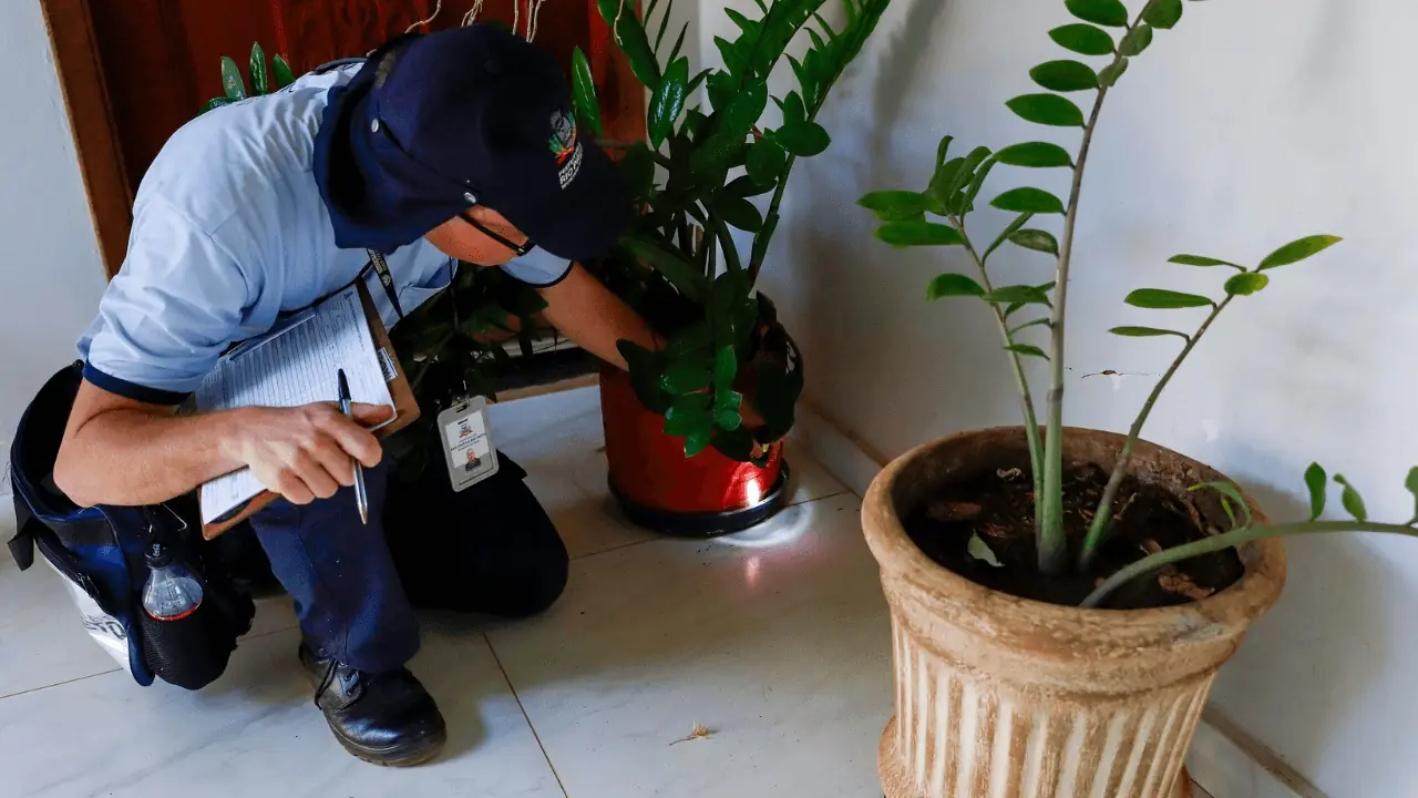 Thumbnail description