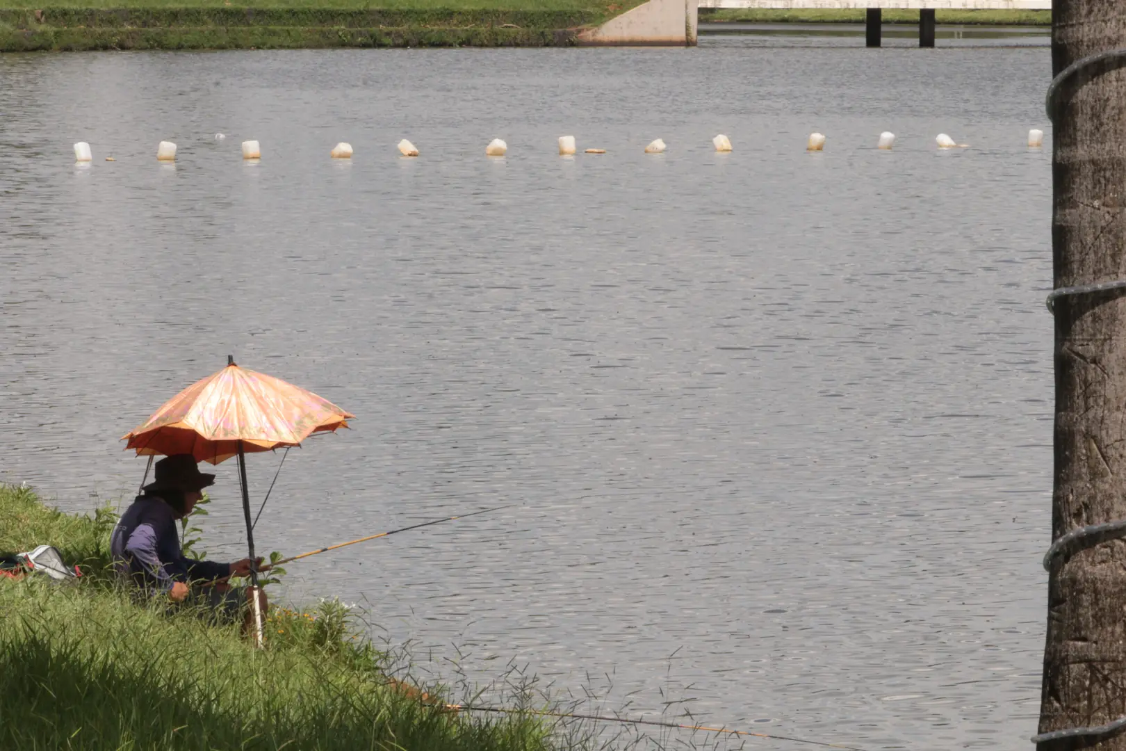 Após Natal mais quente em nove anos, vem mais calor