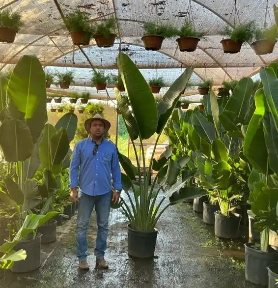 Empresa de André Seixas se dedica a grandes projetos de paisagismo, em residências e comércios (Divulgação)