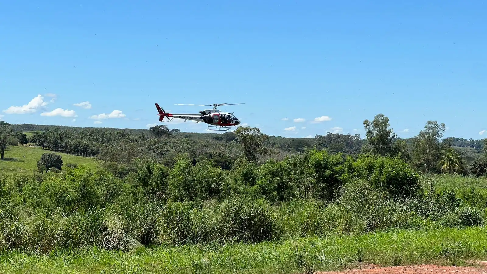 Polícia procura pelos suspeitos com o apoio do Helicóptero Águia, da PM (Monte Aprazível Notícias)