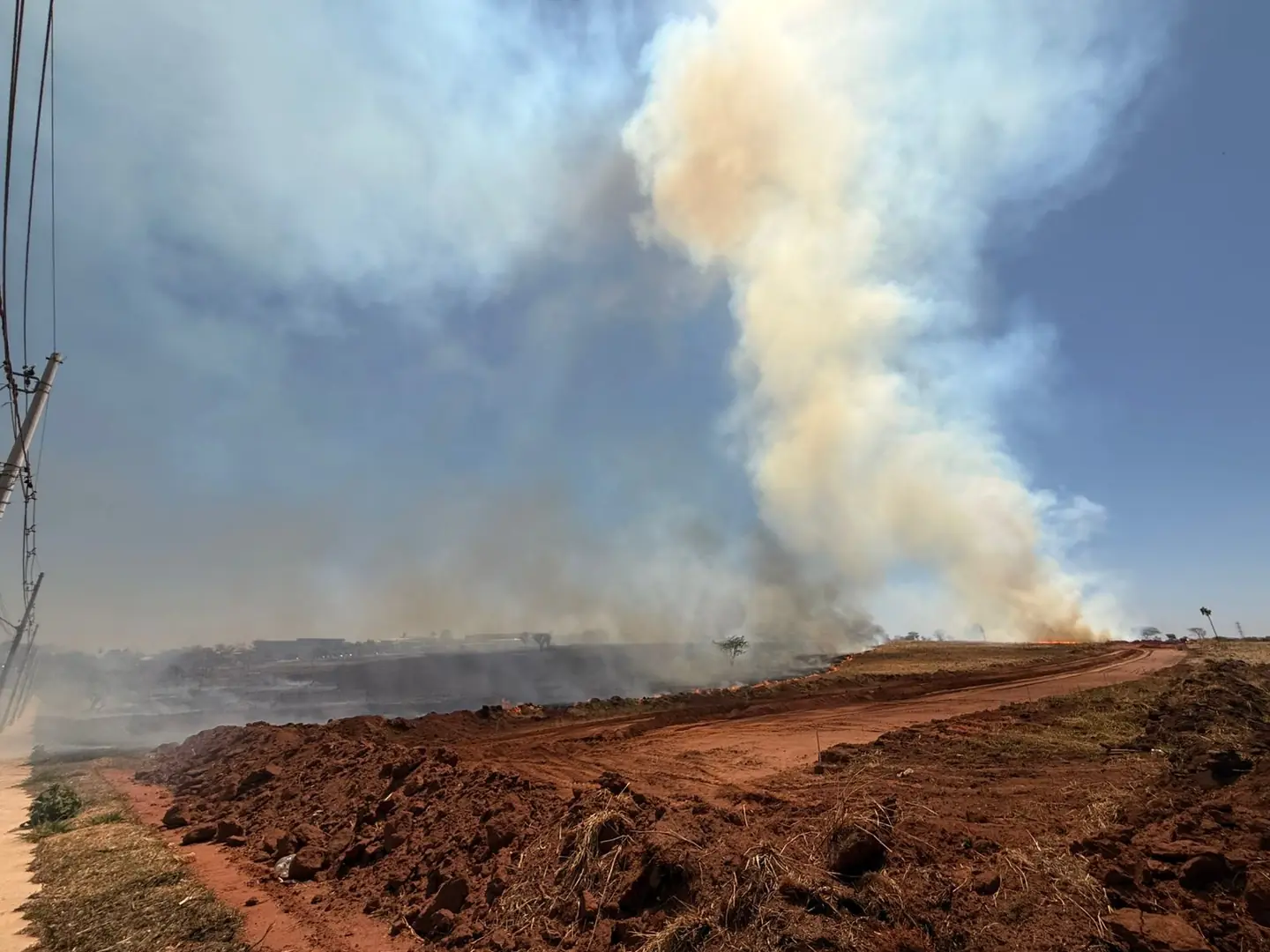 Incêndio atinge área do antigo IPA em Rio Preto (Colaboração/leitor)