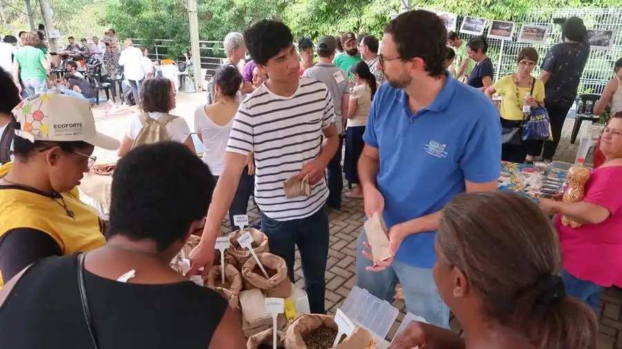 Feira de troca de sementes crioulas quer incentivar os agricultores e comunidades (Divulgação)