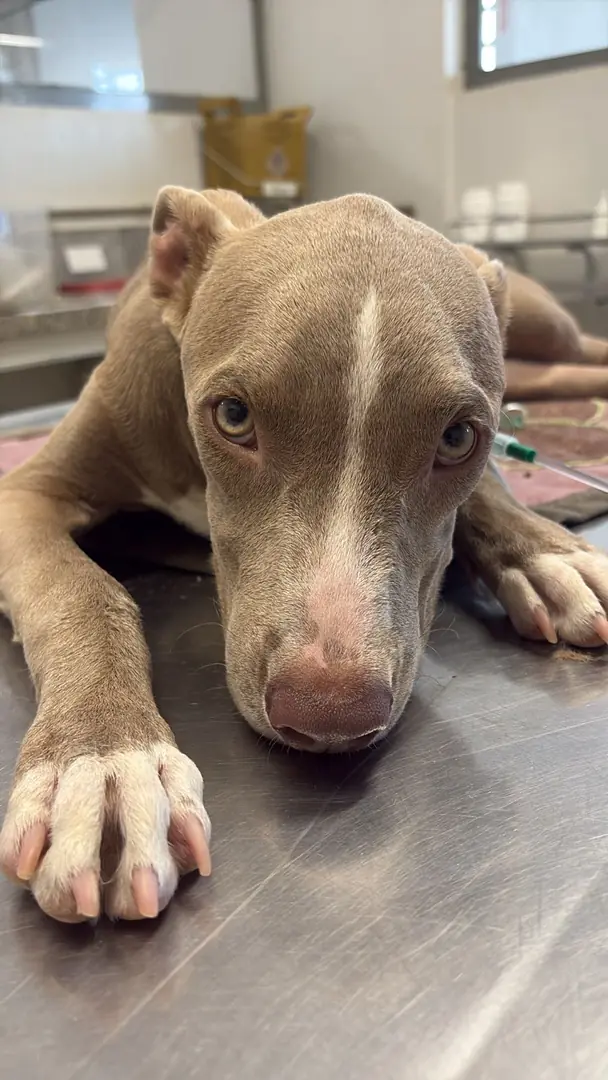 Thumbnail description