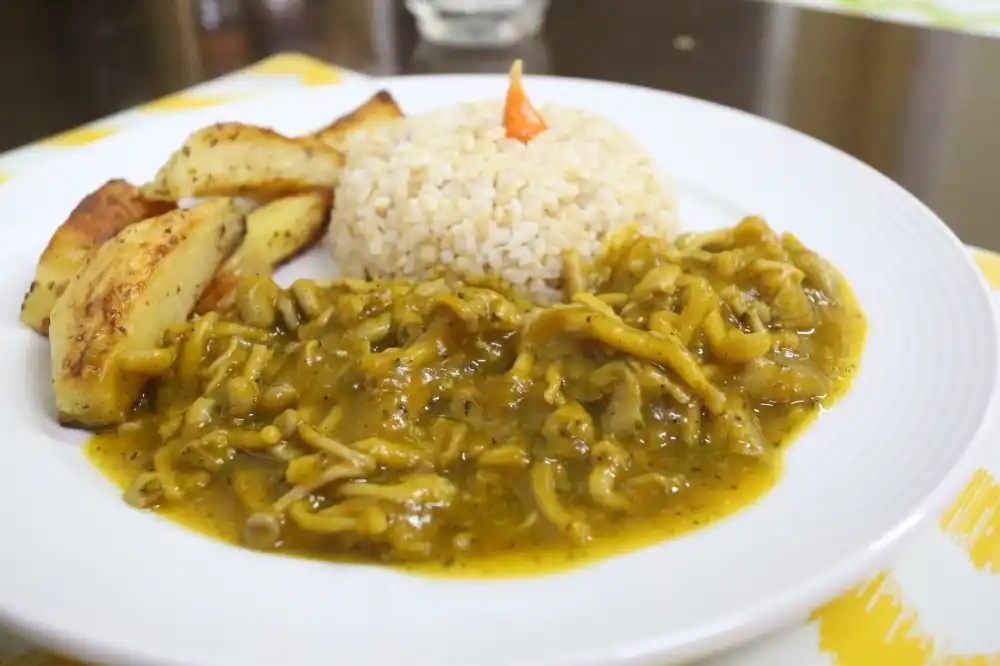 Estrogonofe de shimeji vegano servido no restaurante Grindélia (Guilherme Baffi 22/1/2019)