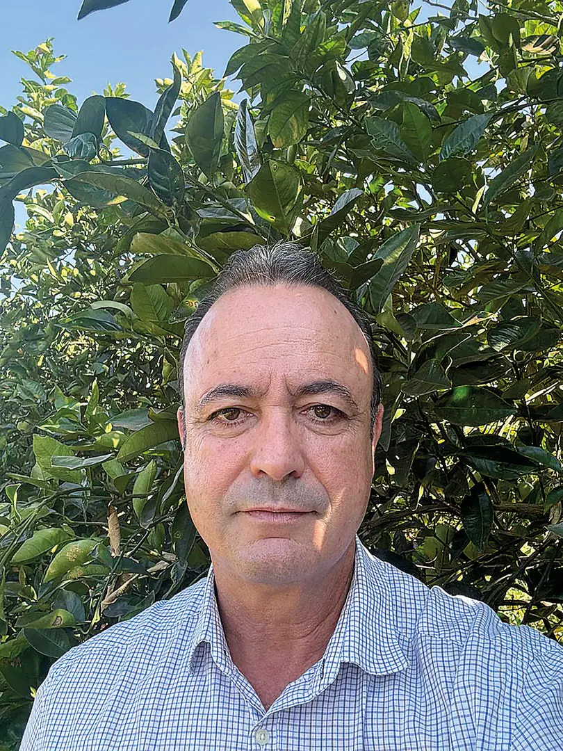 Imagem da matéria