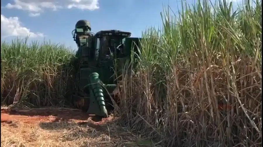 Pesquisa mostra que houve R$ 228 milhões de investimentos na prevenção e combate a incêndios (Pesquisa mostra que houve R$ 228 milhões de investimentos na prevenção e combate a incêndios)