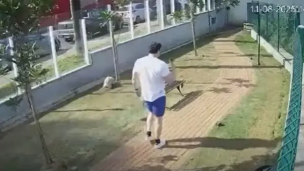 Diário da Região