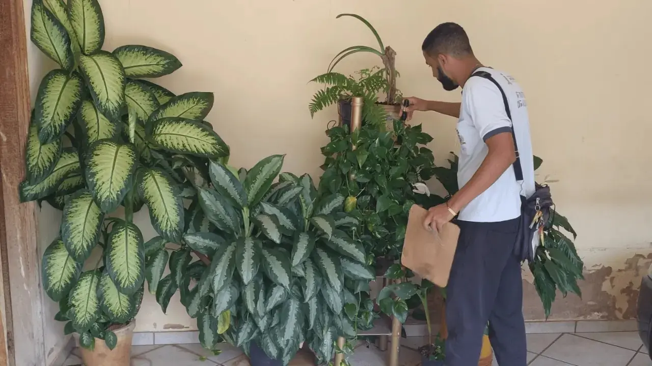 Mutirão contra a dengue tem 5ª etapa