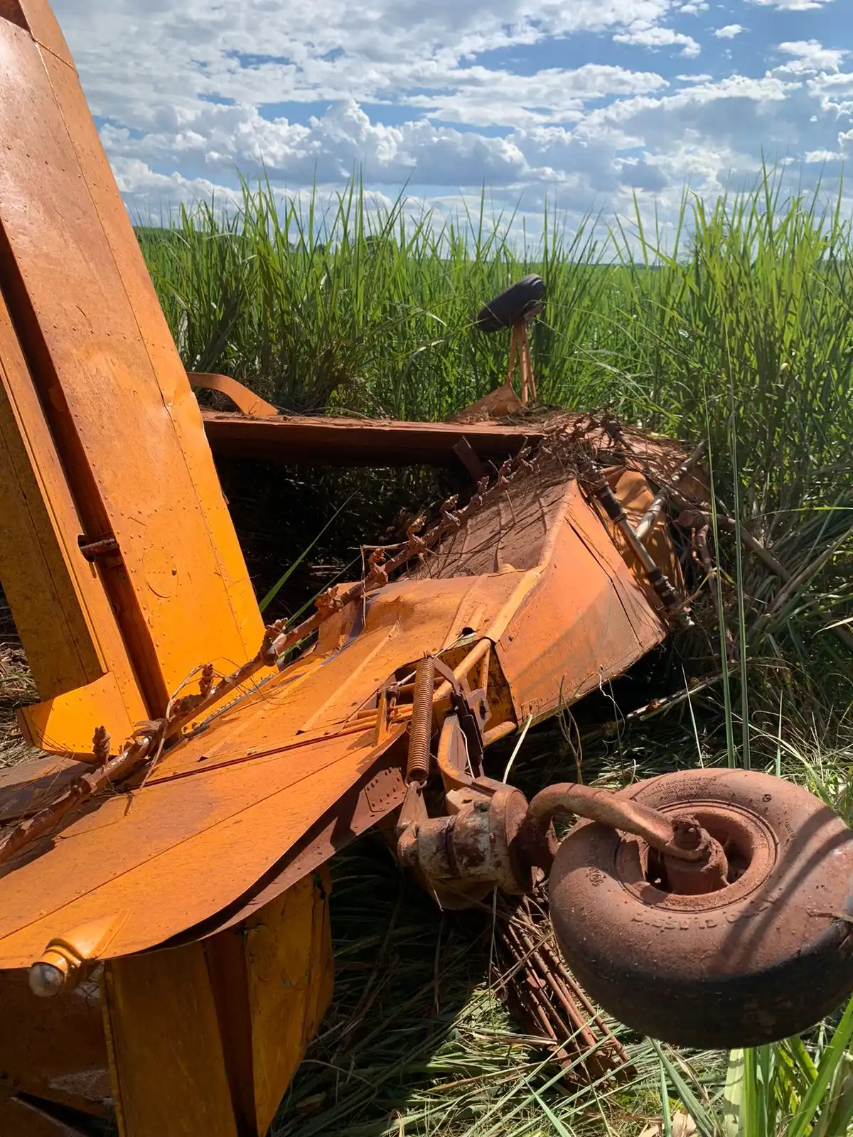 Avião agricola cai em Palestina (Colaboração leitor)