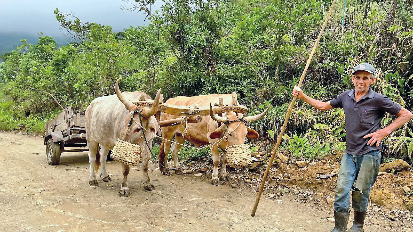 Thumbnail description