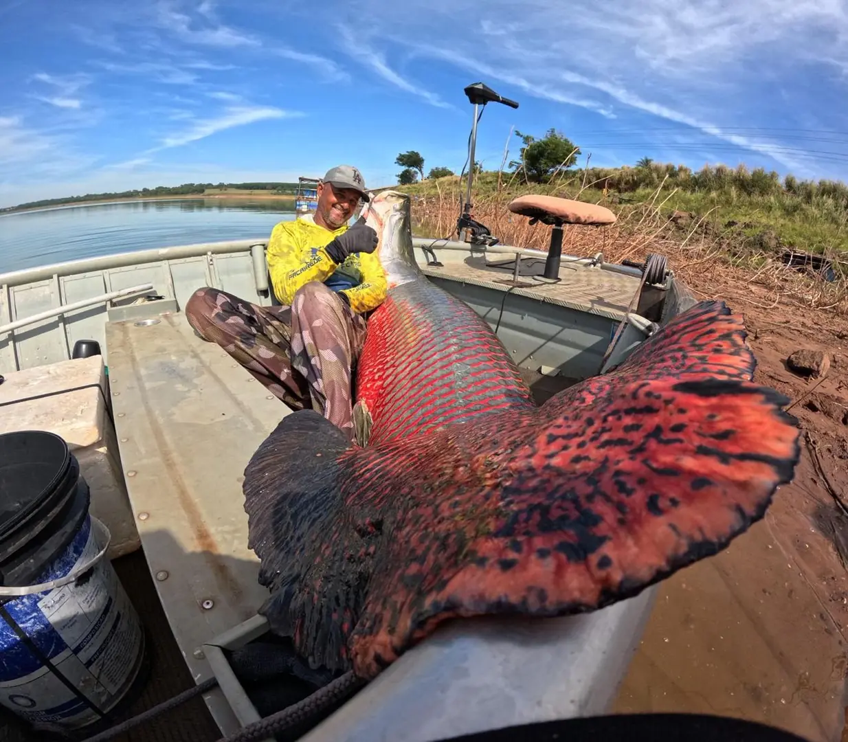 Thumbnail description