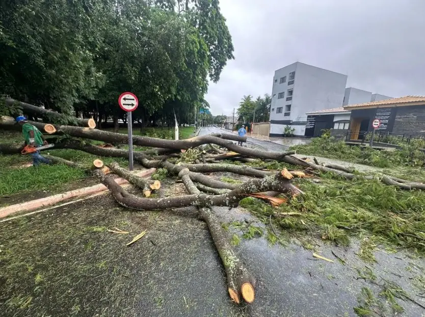 Thumbnail description