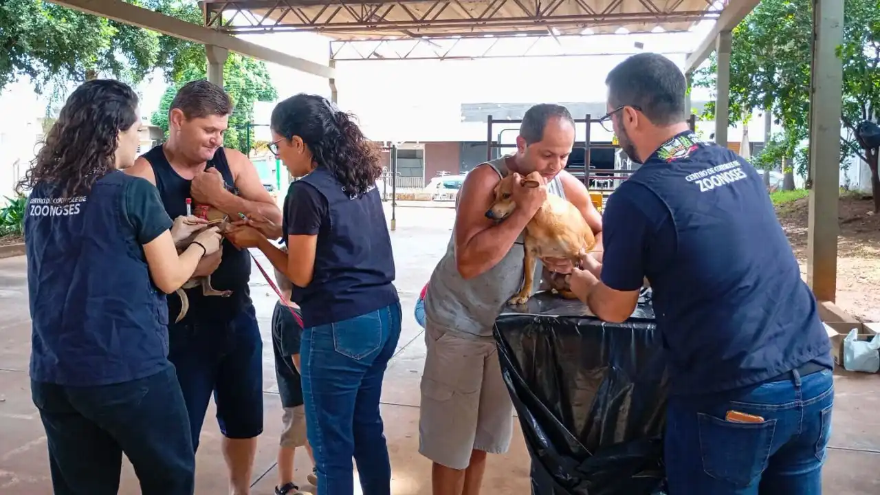 Vacinação de pets em Rio Preto (Divulgação/CCZ)